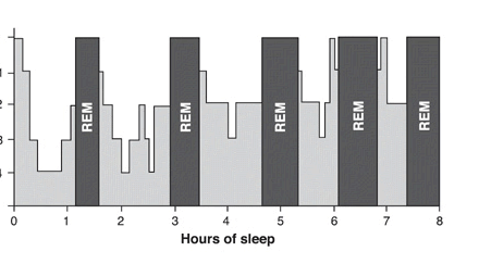 Исследование попыток дневного сна (МТЛС)